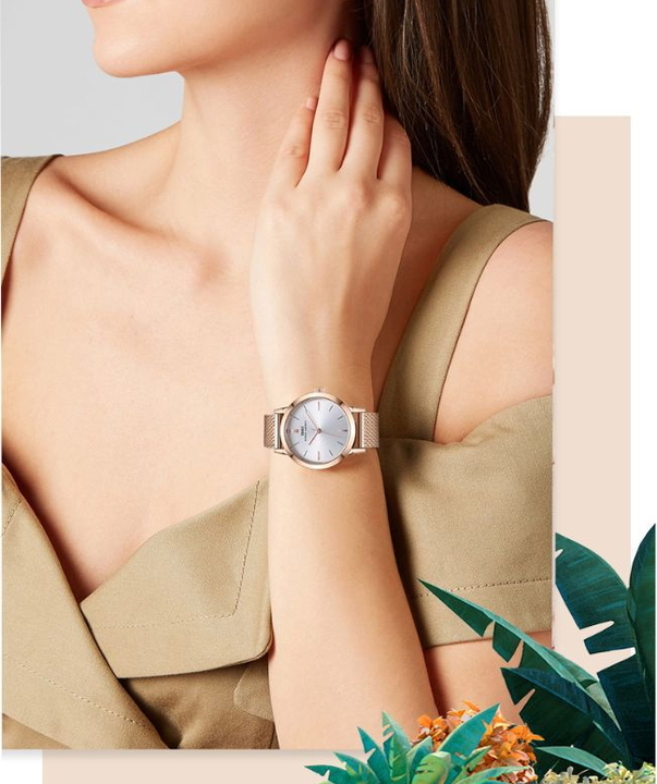 Baosaili BOX IBSO УЦІНКА - 14