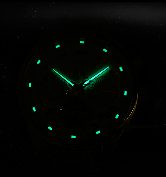 Carnival Sappfire Silver Leather Deluxe, 2 ремінці - 6