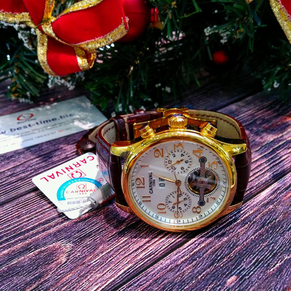 Carnival Swiss Brown - 10