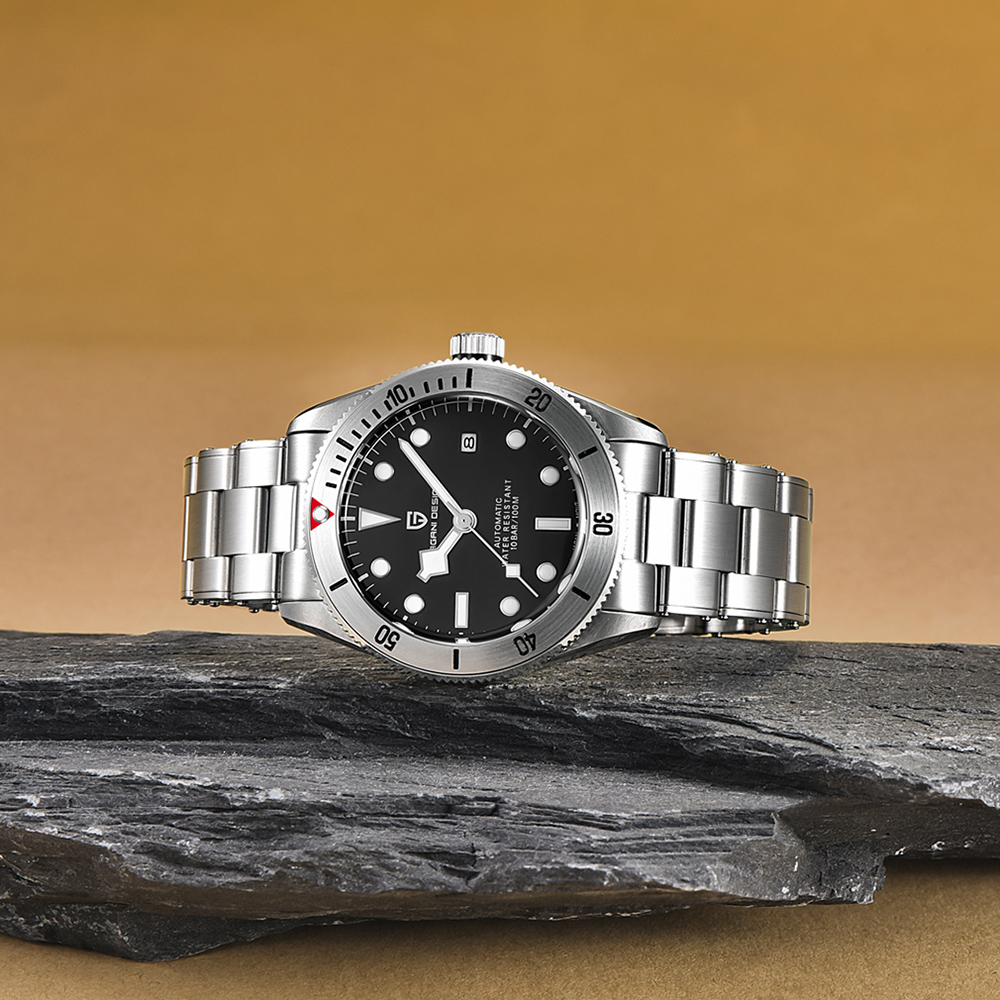 Pagani Design PD-1709 Silver-Black - 5