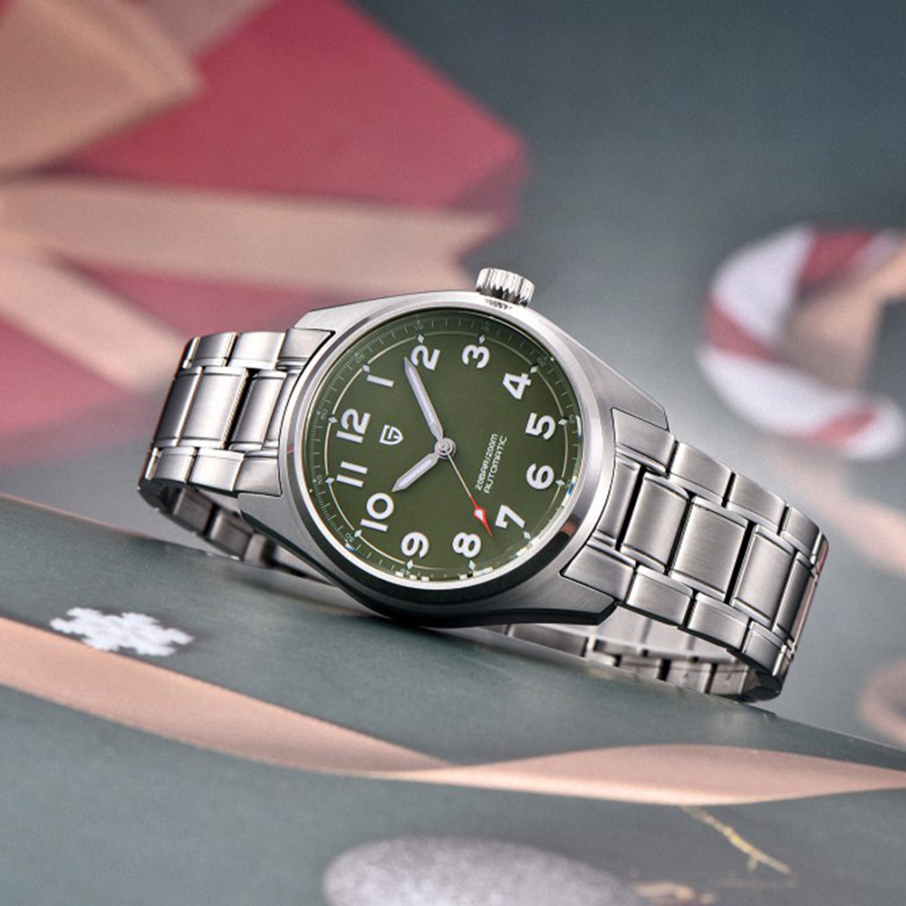 Pagani Design PD-1717 Silver-Green - 5