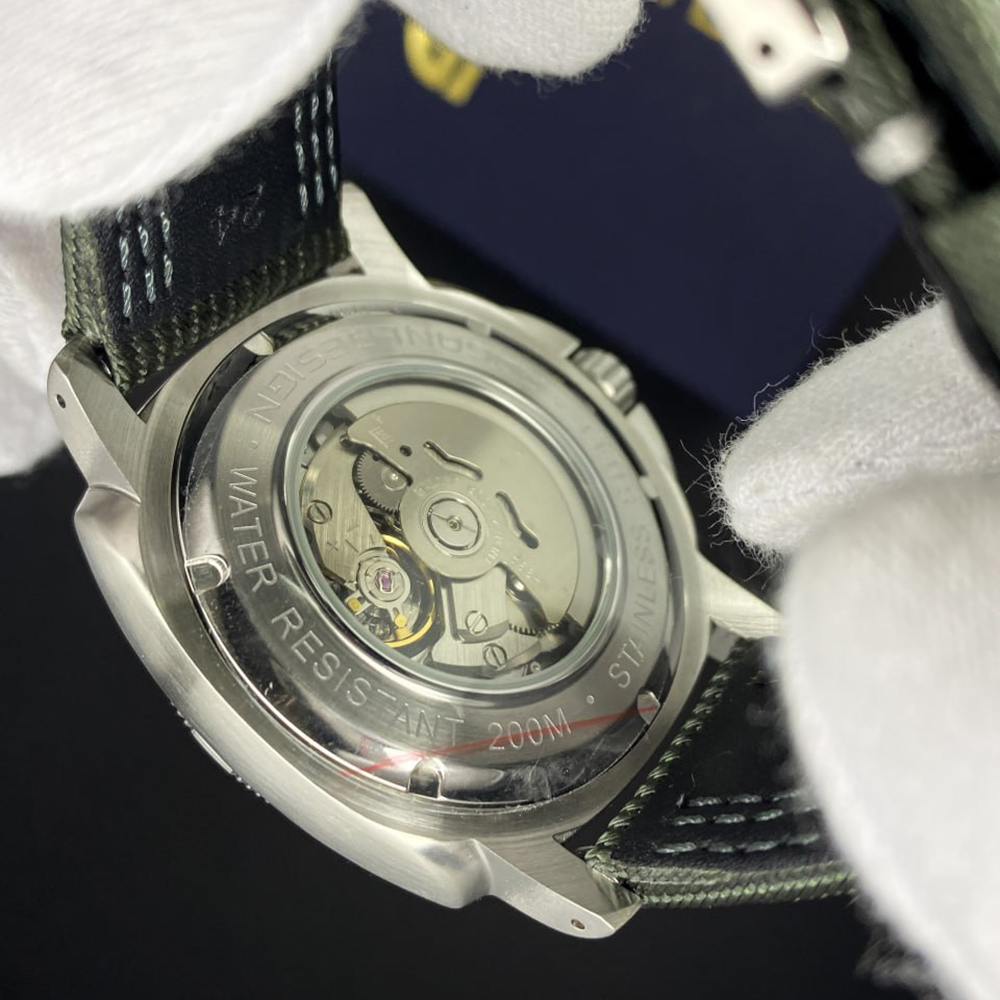 Pagani Design PD-1736 Silver-Green - 6